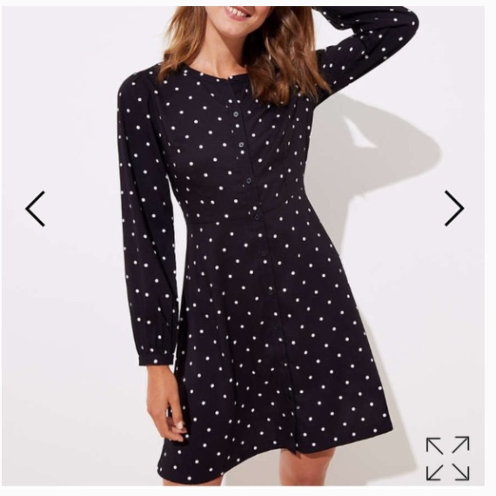 LOFT POLKA DOT FLARE SHIRT DRESS